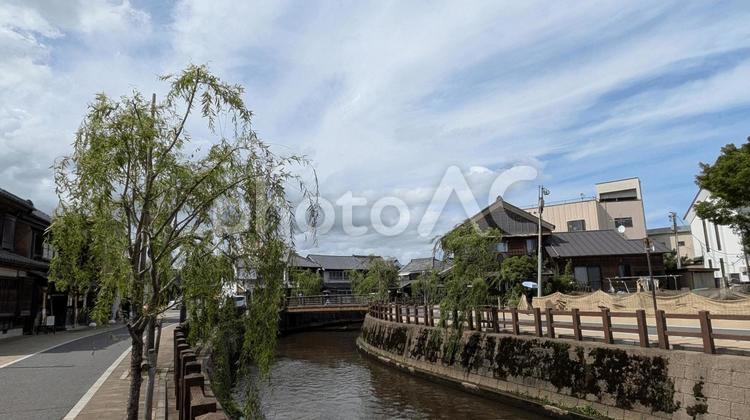 北総の小江戸・佐原の町並みと小野川 佐原の町並み,小野川,ヤナギの写真素材