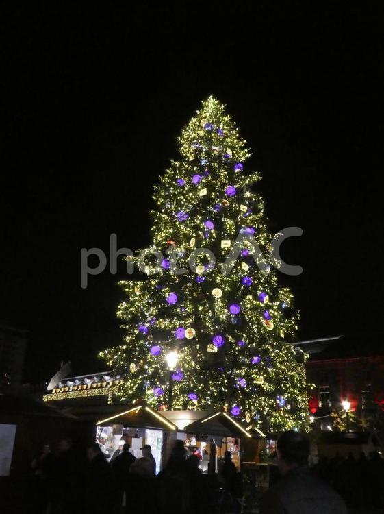 フランスのクリスマスマーケットと、ツリーのイルミネーション クリスマス,クリスマスツリー,外国の写真素材