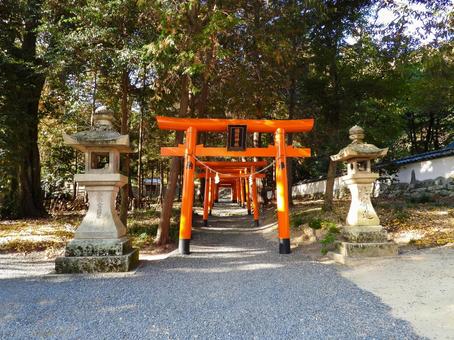 岡山県 吉備津彦神社 稲荷神社の鳥居群 岡山県 吉備津彦神社 稲荷神社の鳥居群の写真