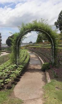 アーチを潜りながらの写真