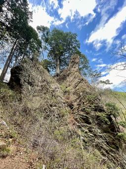 御岳山の険しい岩場に立つ孤高の木 岩,奇岩,岩場の写真素材