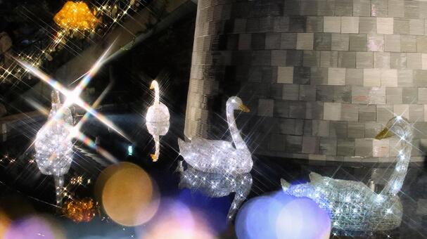 はままつフラワーパーク　イルミネーション イルミネーション,クリスマス,夜景の写真素材