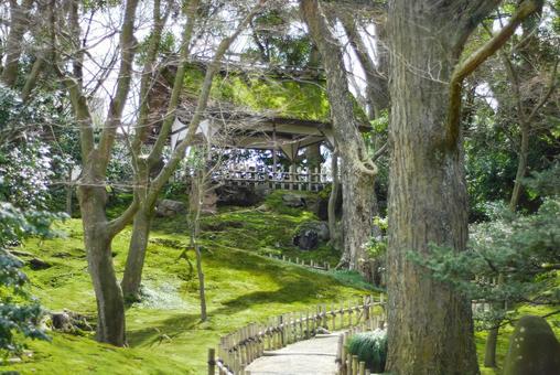 兼六園 山崎山の木漏れ日と小道（石川） 兼六園,山崎山,丘の写真素材