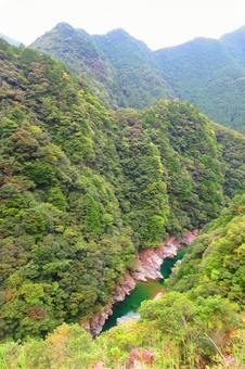 徳島県-祖谷渓-みどりの一里塚松尾 徳島県-祖谷渓-みどりの一里塚松尾の写真