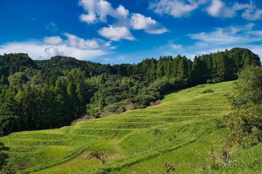 棚田をみあげた風景 棚田をみあげた風景 千葉県,千枚田,彼岸花の写真素材