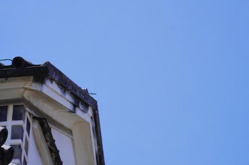 倉敷美観地区 308 倉敷美観地区 308の写真