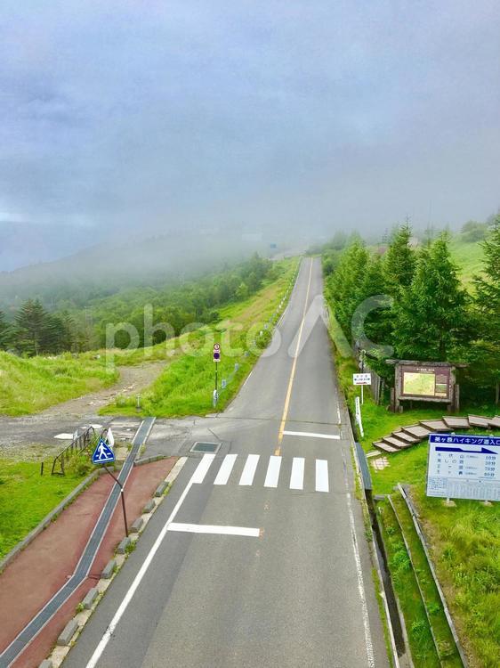 ビーナスライン 美ヶ原高原 道路,何人もありません,瀝青の写真素材