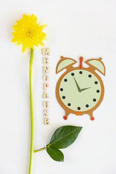 「MENOPAUSE」の文字とガーベラと紙でできた時計 生理,月経,menopauseの写真素材