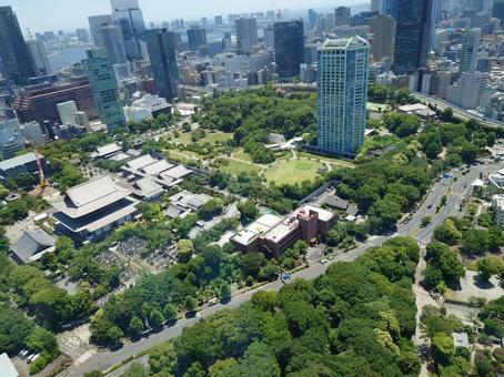 東京タワーから見た景色 東京タワーから見た景色 街並み,東京,自然の写真素材