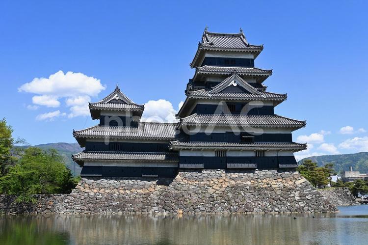 五月晴れの信州松本城 国宝天守と乾小天守 松本城,国宝,天守の写真素材