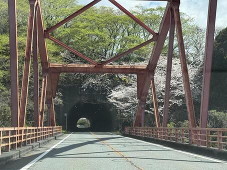 鉄橋 鉄橋,橋,橋桁の写真素材