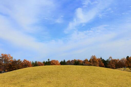秋晴れの丘＿ヨコ 広場,半円の丘,秋の紅葉の写真素材