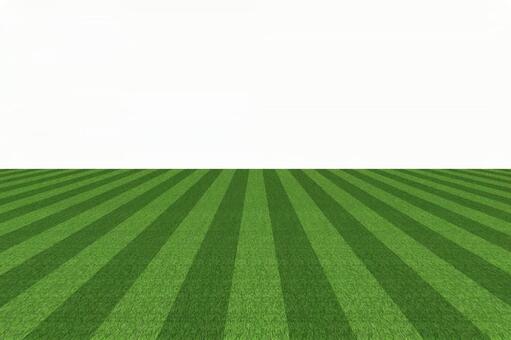 グリーンと白背景 グリーンと白背景の写真