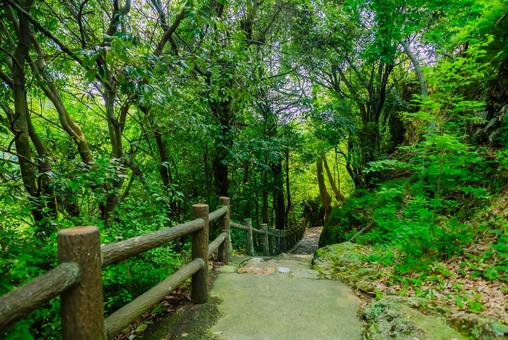 【岐阜】岐阜城の周辺 2025 【岐阜】岐阜城の周辺 2025 岐阜城,城,岐阜の写真素材