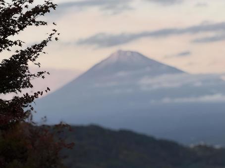 初冬の富士山 富士山,富士川,サービスエリアの写真素材
