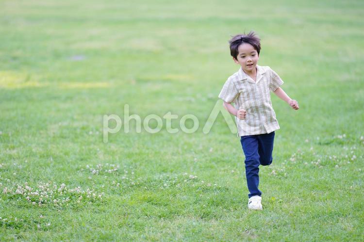 芝生を走る男の子 男の子,走る,遊ぶの写真素材