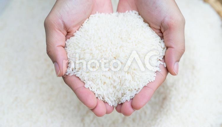 生の白米を持つ手 米,食べ物,健康の写真素材