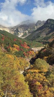 紅葉 紅葉 自然,景色,風景の写真素材