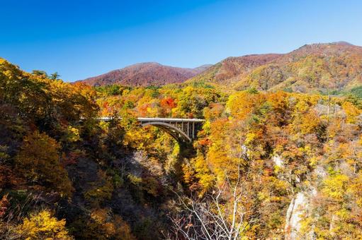 鳴子峡の秋-Vol.4⑽ 渓谷,峡谷,鳴子峡の写真素材