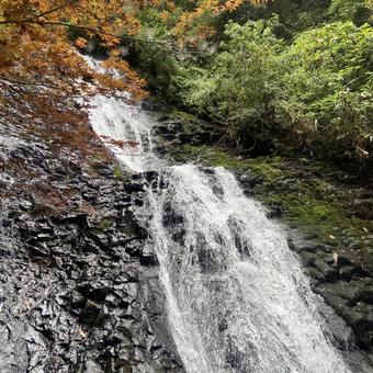 滝 滝 自然,蒸気,風景の写真素材