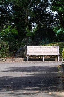 誰もいない公園のベンチ 誰もいない公園のベンチの写真
