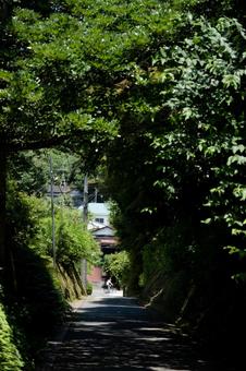 ［神奈川県鎌倉市］亀ケ谷坂切通 切通,鎌倉,亀ケ谷坂切通の写真素材