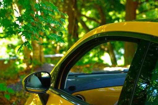 木陰のイタ車と青もみじ⑤ 木陰のイタ車と青もみじ⑤ 車,ドアミラー,紅葉の写真素材