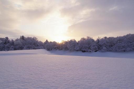 雪景色の朝 雪景色の朝 朝焼け,マジックアワー,スペースの写真素材