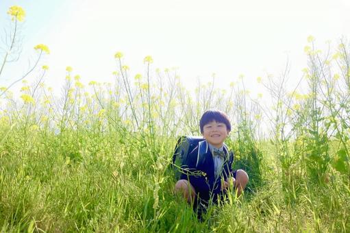 菜の花と子供とランドセル 菜の花と子供とランドセルの写真