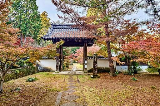 天祐寺の紅葉 天祐寺,お寺,紅葉の写真素材