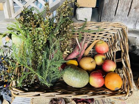 秋の野菜や果物 秋,野菜,草花の写真素材