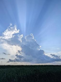 夏の空 空,雲,夏空の写真素材