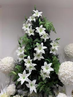 クリスマスツリー　ユリ 百合,ユリ,クリスマスの写真素材