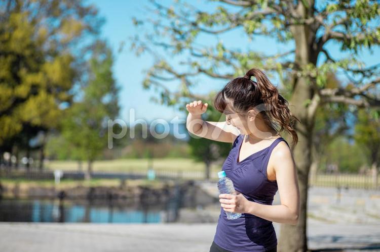 公園でトレーニングする女性（水を飲む） 水分補給,熱中症,脱水症の写真素材