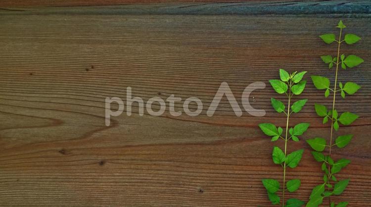 木目背景 木目,木目調,テクスチャの写真素材