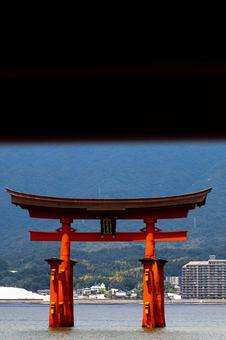厳島神社 厳島神社,宮島,広島県の写真素材