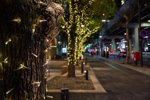 夜の六本木通り 六本木,イルミネーション,六本木通りの写真素材