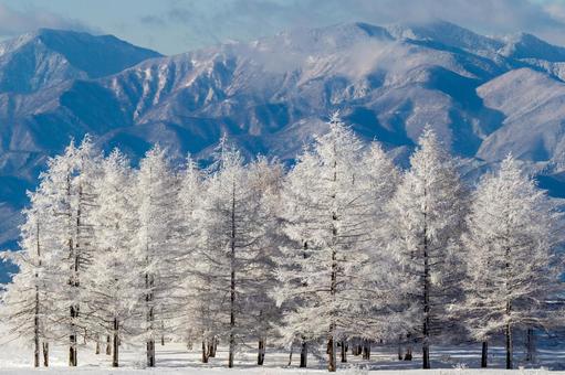 雪化粧の山々と霧氷の森 雪化粧の山々と霧氷の森 雪,冬,霧氷の写真素材