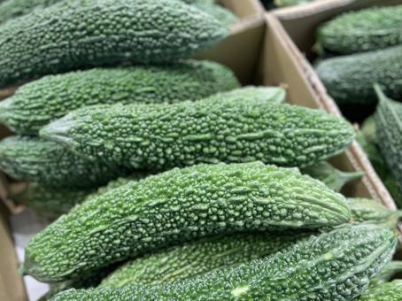 Photo, nigauri, bitter gourd, goya, 