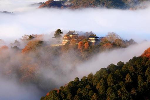 天空の山城 天空の山城 天空の城,天空の山城,備中松山城の写真素材