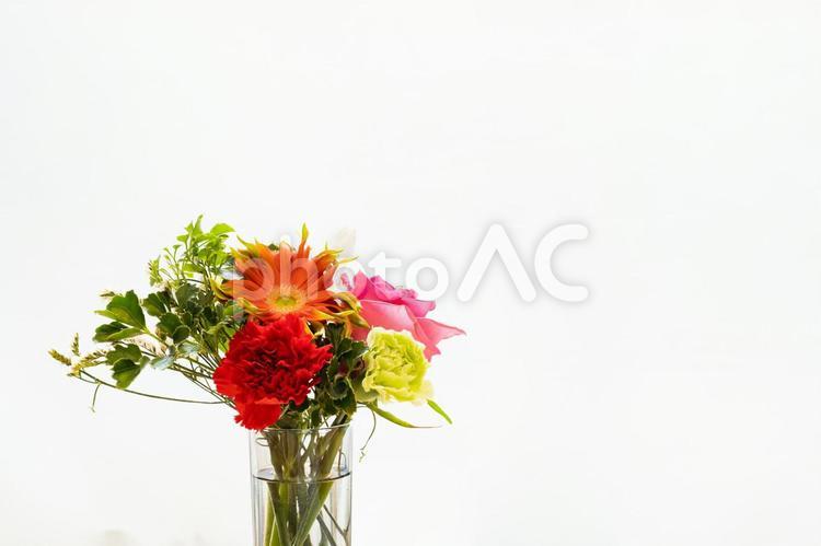 お花のある暮らしイメージ　生花を白背景 花束,花,花背景の写真素材