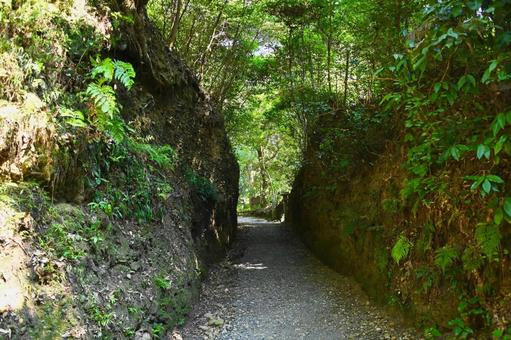 医王山 油山寺参道切通し 医王山 油山寺参道切通しの写真