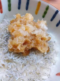 丼(ちりめんじゃこと大根おろし) 丼(ちりめんじゃこと大根おろし) 丼,ちりめんじゃこ,大根おろしの写真素材