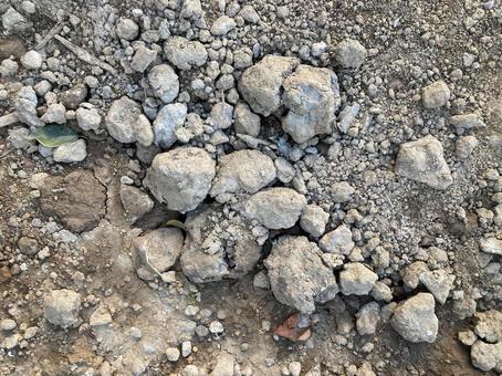 Photo, before construction, land, texture, 