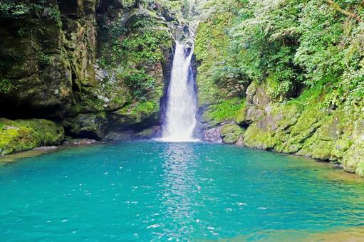 にこ淵 仁淀川水系上流10 にこ淵 仁淀川水系上流10の写真