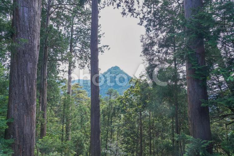 東京の御岳山の風景 御岳山,武蔵御岳山,ハイキングの写真素材