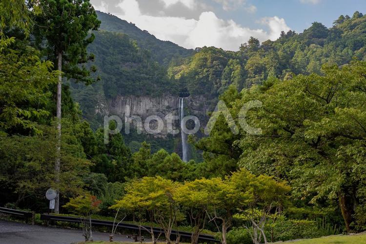 那智の滝周辺の景色 吉野熊野国立公園,那智の滝,木々の写真素材