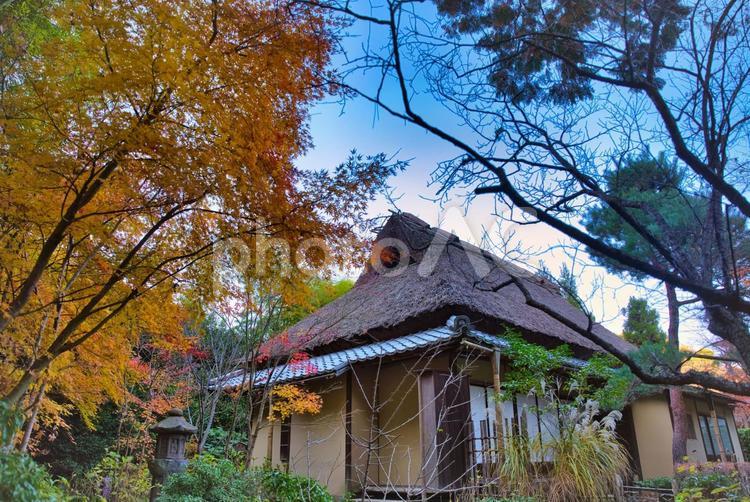 寂びを感じる晩秋の山荘 紅葉,モミジ,もみじの写真素材