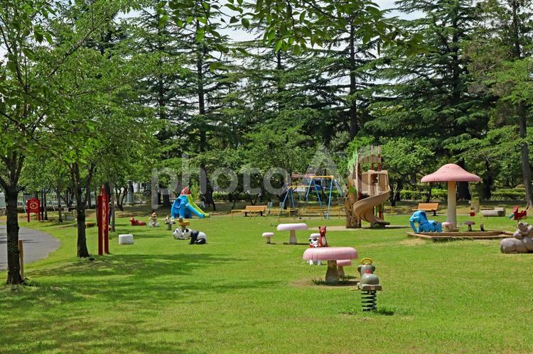 公園や自然のイメージ 公園,自然,旅の写真素材