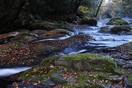 菊池渓谷 菊池渓谷,菊池川,光芒の写真素材